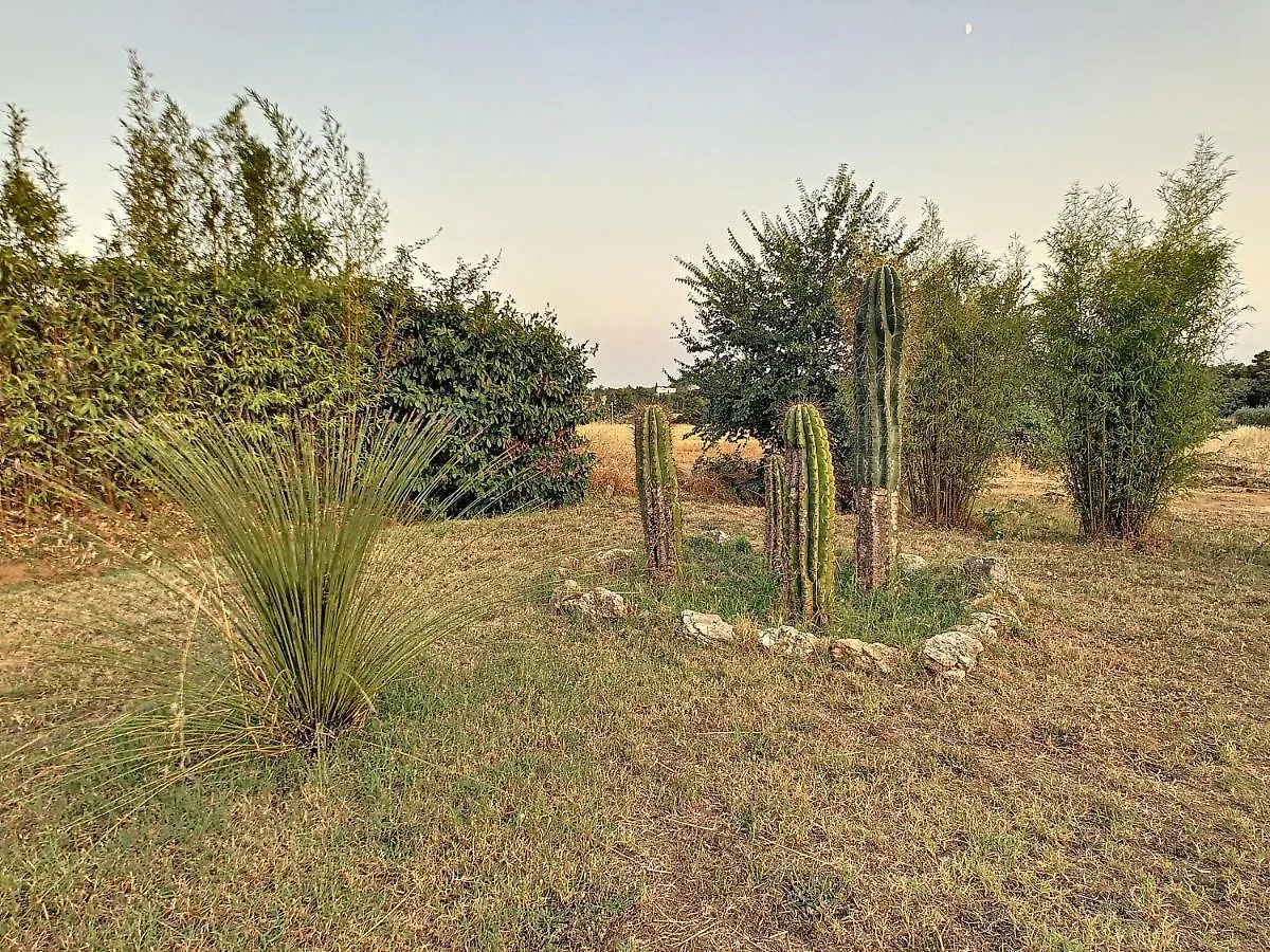 Agriturismo Dominus Domenico Cortona Farm stay
