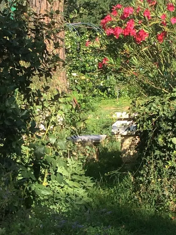 Agriturismo Dominus Domenico Cortona Farm stay