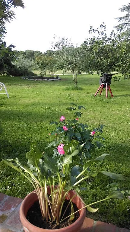 Agriturismo Dominus Domenico Cortona Farm stay
